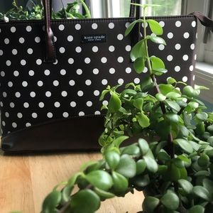 Brown Polka Dot Purse